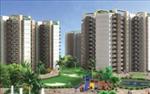 Imperia Elvedor, 1 & 2 BHK Apartment